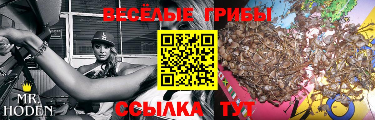 Галлюциногенные грибы Magic Shrooms  Вход с VPN  купить наркотик  Чернушка 