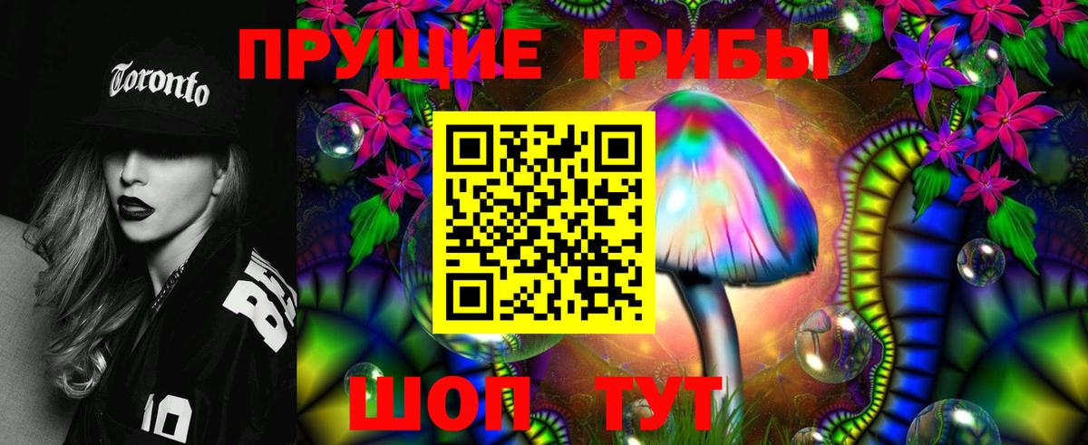 Псилоцибиновые грибы GOLDEN TEACHER Чернушка